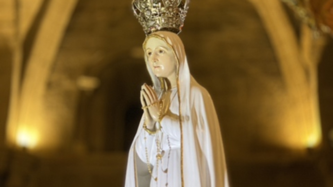 Image-25