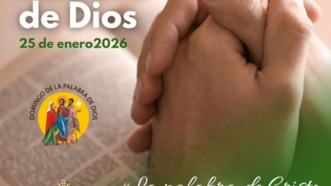Domingo de la Palabra 26