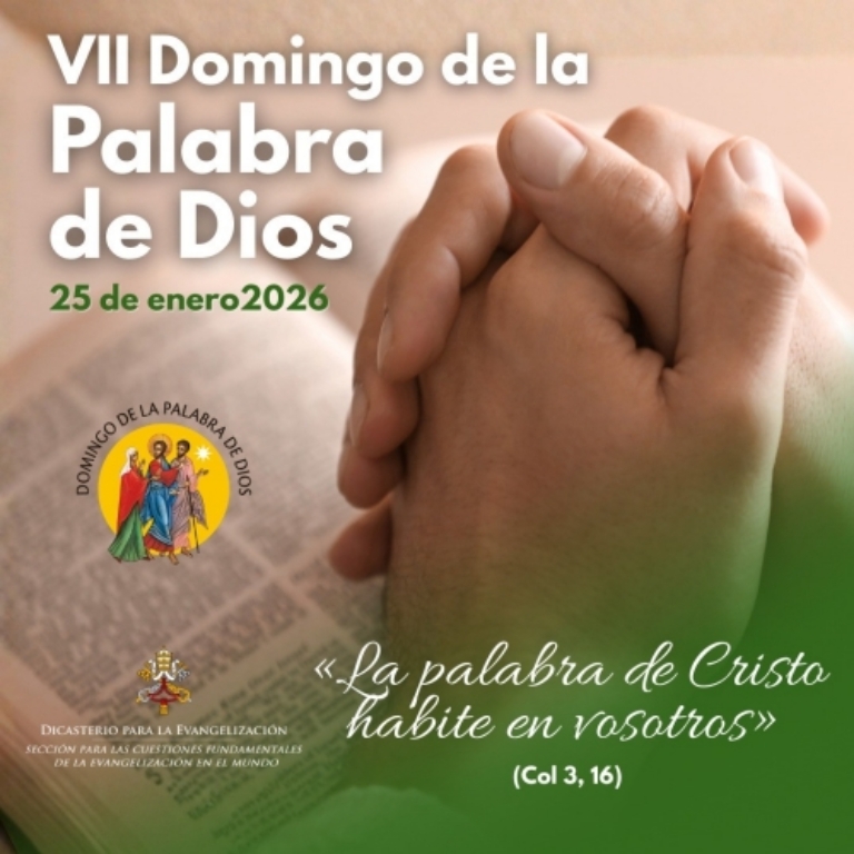 Domingo de la Palabra 26