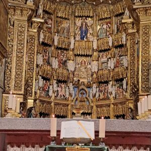 WhatsApp Image 2026-01-25 at 09.58.11