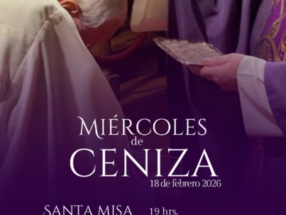 WhatsApp Image 2026-02-02 at 11.34.44