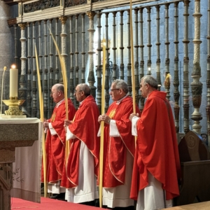 Foto 29-3-26, 12 23 29