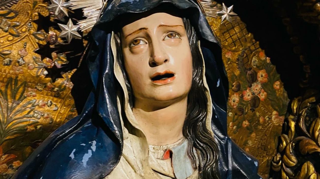 WhatsApp Image 2026-03-27 at 09.07.29