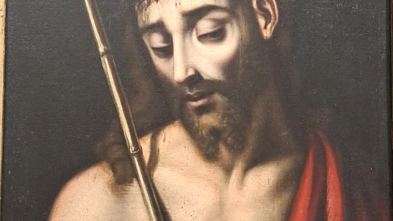 WhatsApp Image 2026-04-11 at 12.37.11 (2)