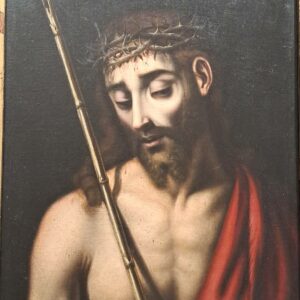 WhatsApp Image 2026-04-11 at 12.37.11 (2)