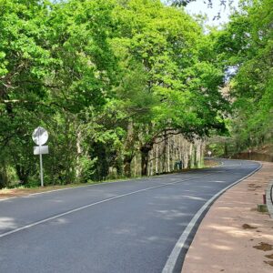 WhatsApp Image 2026-04-18 at 10.31.52